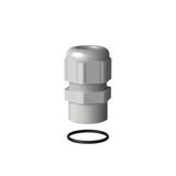 Cable gland plastic IP68 ISO25 RAL 7035