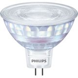 Spot LED GU5.3 MR16 3.4W 345lm 36D - 840