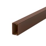 WDK15030BR Wall trunking system with base perforation 15x30x2000