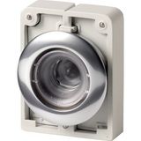 Illuminated pushbutton actuator, RMQ-Titan, Flat, momentary, Metal bezel