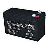 Battery Power Kingdom PS high current 12V/9,0Ah