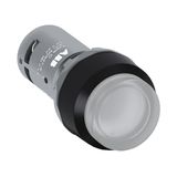 PUSHBUTTON CP3-13C-10