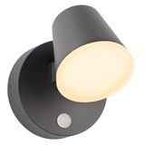 Zeta LED Round Single PIR 12,5W 800lm 3000K IP54 anthracite