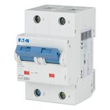 Miniature circuit breaker (MCB), 20A, 2p, D-Char, AC