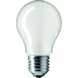Incandescent Bulb E27 100W 220V FR special