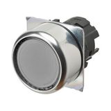 Pushbutton A22NZ Ã˜22, bezel metal, FLAT, MOMENTARY, CAP COLOR Transparent WHITE, LIGHTED A2270154R