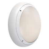 ARX Anti-Ligature Bulkhead CCT White DALI