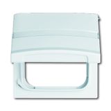 2118 GKN-34 CoverPlates (partly incl. Insert) Flush-mounted, water-protected, special connecting devices Alpine white