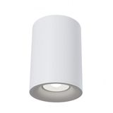 Ceiling & Wall Slim Ceiling Lamp White