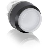 MP3-11W Pushbutton