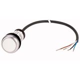 Pushbutton, Flat, momentary, 1 N/O, Cable (black) with non-terminated end, 4 pole, 3.5 m, White, Blank, Bezel: titanium