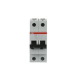 S202L-C10 Miniature Circuit Breaker - 2P - C - 10 A