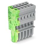 1-conductor female connector CAGE CLAMP® 4 mm² gray, green-yellow