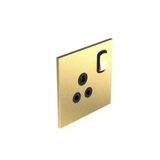 Art d'Arnould - 1 gang BS socket outlet 5A single pole switched Epure - Brushed Gold