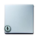 2118 GKSL-33 CoverPlates (partly incl. Insert) Flush-mounted, water-protected, special connecting devices Aluminium silver