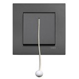 Novella-Trenda Dark Grey (Quick Connection) Emergency Warning Switch with Cord