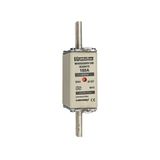 Fuse-link NH0 gG 690VAC 160A live tags Double indicator