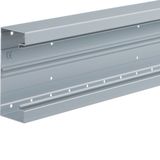 BRA 65170B/1 Nat.anod. Trunking base