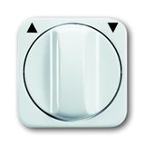2542 DR-214 CoverPlates (partly incl. Insert) carat® Alpine white