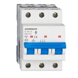 Miniature Circuit Breaker (MCB) AMPARO 6kA, C 10A, 3-pole