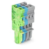 1-conductor female connector CAGE CLAMP® 4 mm² green-yellow, blue, gra