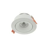 LED Downlight 100 - IP43 | CRI/RA 97 (Kardanisch) Warmwhite