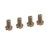 Set of 4 screws M6x10 for fixing base plates
