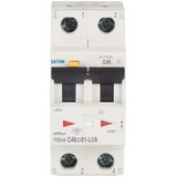 RCD/MCB combination, 40 A, 100 mA, MCB trip characteristic: C, 2p, RCD trip characteristic: LIA