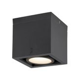 ESKINA FRAME CL single, Ceiling-mounted light anthracite 15W 1100/1200lm 3000/4000K CRI80 95°