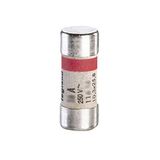 Domestic cylindrical cartridge 10.3x25.8mm with indicator light - 10A