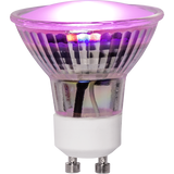 LED Lamp GU10 MR16 Plant Light