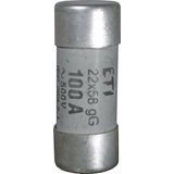 Fuse link, *CH22x58 aM 100A/500V