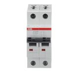 ST202M-K40 Miniature Circuit Breaker - 2P - K - 40 A