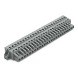 231-124/031-000 1-conductor female connector; CAGE CLAMP®; 2.5 mm²