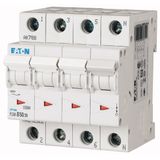 Miniature circuit breaker (MCB), 50 A, 3p+N, characteristic: B