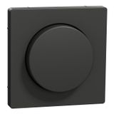 Central plate with rotary knob, anthracite, system design