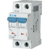 Miniature circuit breaker (MCB), 20 A, 2p, characteristic: B