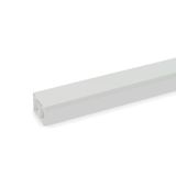 LE 4060 TW lgr  Channel LE, for cable storage, 2000x60x40, light gray Polyvinyl chloride