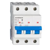 Miniature Circuit Breaker (MCB) AMPARO 6kA, B 6A, 3-pole