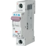 Miniature circuit breaker (MCB), 32 A, 1p, characteristic: C, DC