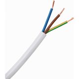 cable H05VV-F 3G1 white 10 m coil