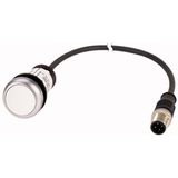 Pushbutton, classic, flat, maintained, 1 N/O, white, cable (black) with m12a plug, 4 pole, 0.2 m