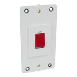 Arteor 45A Double Pole Vertical Switch with Indicator 80mm x 150mm Soft Alu