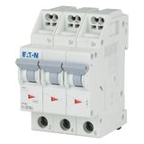 Miniature circuit breaker (MCB) with plug-in terminal, 16 A, 3p, characteristic: D