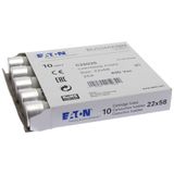 Fuse-link, LV, 25 A, AC 690 V, 22 x 58 mm, gL/gG, IEC