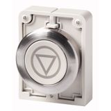 Pushbutton, RMQ-Titan, Flat, momentary, gray, inscribed, Metal bezel