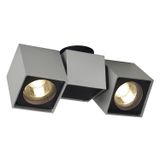 ALTRA DICE SPOT 2 ceiling lamp, GU10 2x50W, silvergrey/black