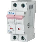 Miniature circuit breaker (MCB), 2 A, 2p, characteristic: B