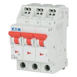 Miniature circuit breaker (MCB) with plug-in terminal, 10 A, 3p, characteristic: B