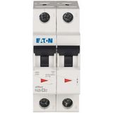 Miniature circuit breaker (MCB), 3 A, 2p, characteristic: C, 6 kA